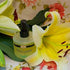 Mon Cheri Le Fleur De Lis (Koleksi Lily) from Ika